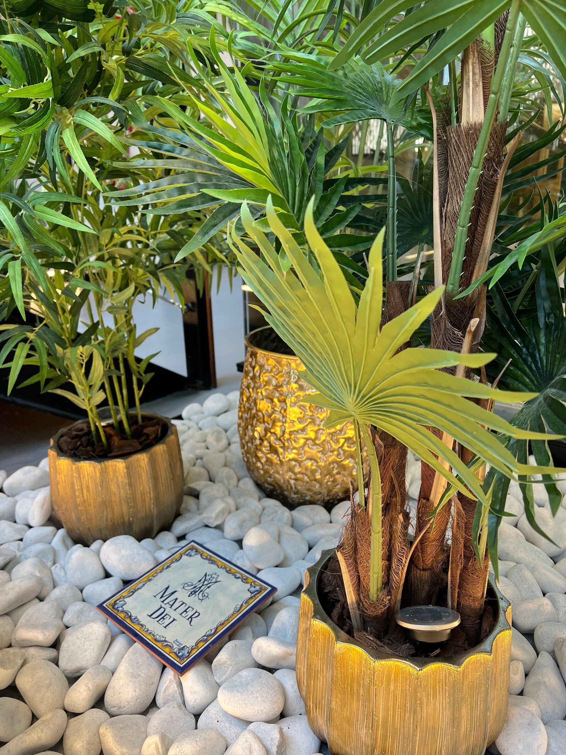 Plantas con macetas doradas y azulejo de Mater Dei sobre piedras blancas